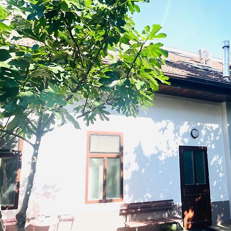 Jokai Apartman Komárno Exterior foto